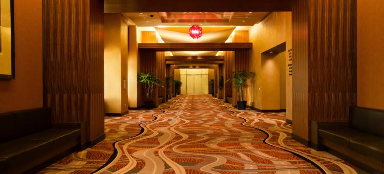 底特律米高梅酒店(MGM Grand Detroit Hotel and Casino)图片