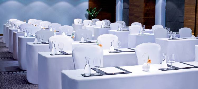 迪拜阿瓦尼迪拉酒店(Avani Deira Dubai Hotel)图片