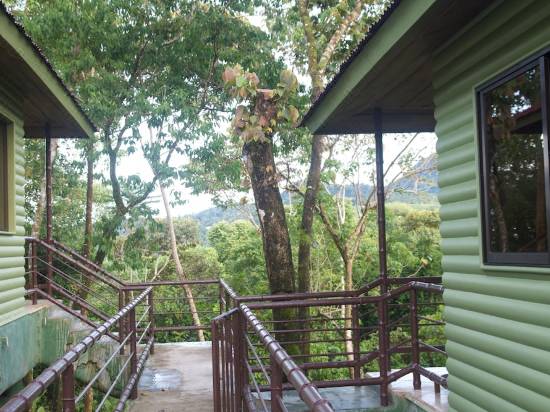 Eden S Nest Junglotel Lodge Hotel Reviews And Room Rates