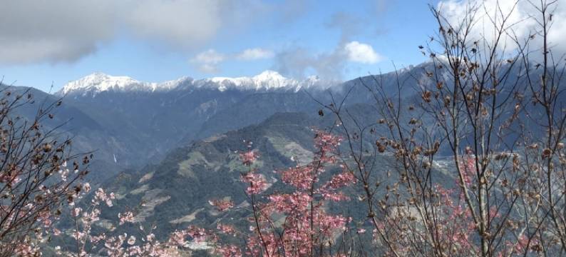 南投清境英格曼情境民宿图片