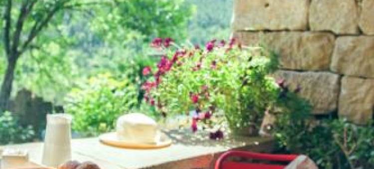 Le Domaine du Fayet图片