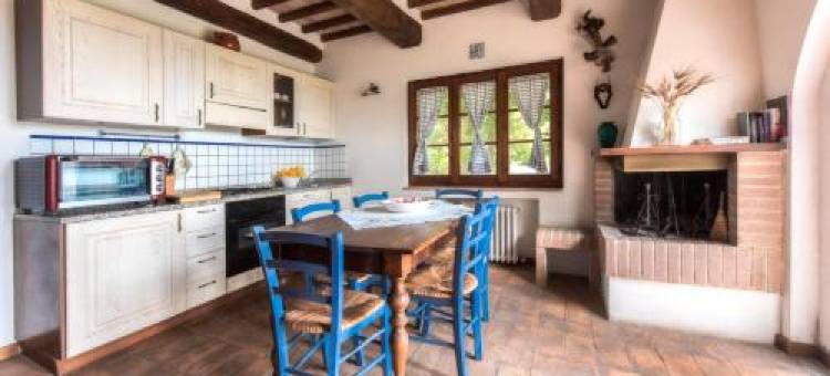 拉科琳娜德乐其农庄(Agriturismo la Collina Dei Lecci)图片