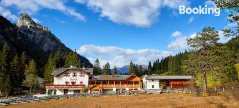 Alpin Natur Hotel Brückele图片