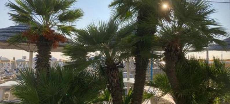 Hotel Donatella Pinarella图片