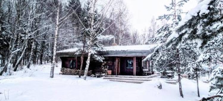 Namelis šalia Vynuogyno图片