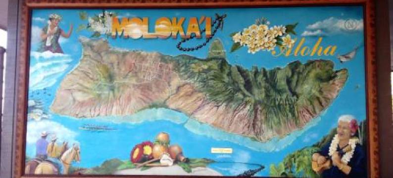 Ka Hale Kealoha图片