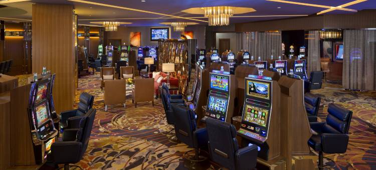 塞米诺尔硬石酒店及坦帕(Seminole Hard Rock Hotel and Casino Tampa)图片