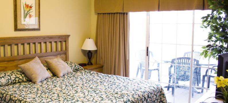 布兰森青翠美景埃克斯普洛利亚度假村(Greensview Branson by Exploria Resorts)图片