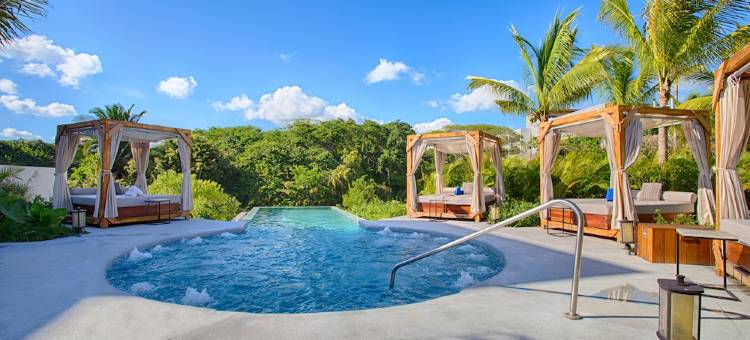 Armony Marival Resort & Spa Punta de Mita - MGallery collection图片