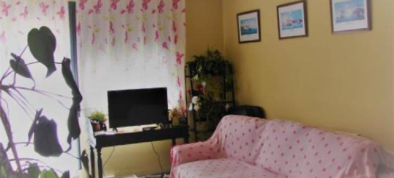 Loft El Carmen图片