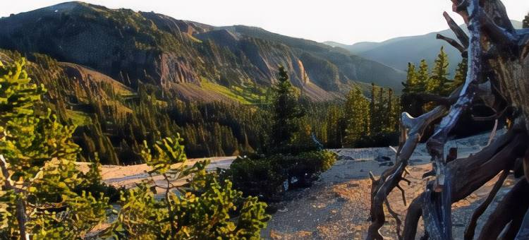 天堂贝斯特韦斯特酒店(Best Western Paradise Inn)图片