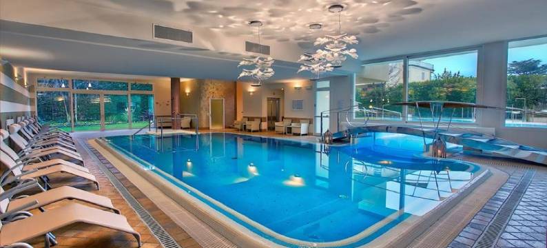 艾里赛奥特尔梅酒店(Hotel Eliseo Terme)图片