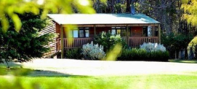 钻石林场农家乐(Diamond Forest Farm Stay)图片