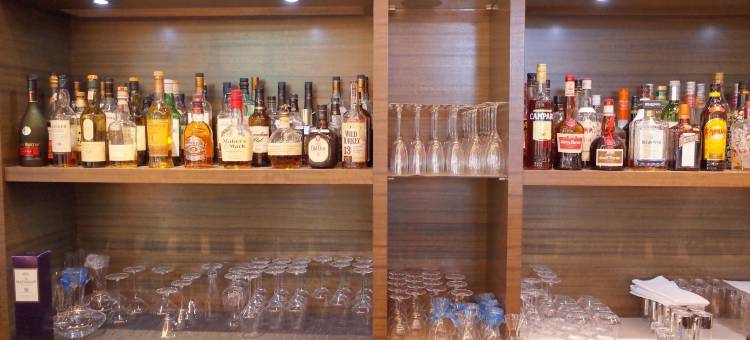 东京近湾Trusty酒店(Hotel Trusty Tokyo Bayside)图片