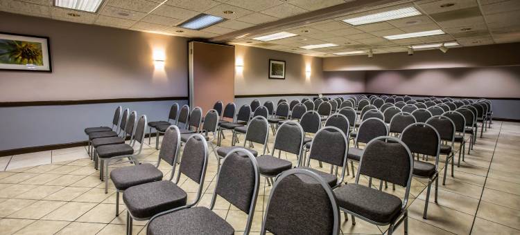 会议中心舒适酒店-芝加哥奥黑尔机场(Comfort Inn Convention Center-Chicago O'Hare Airport)图片