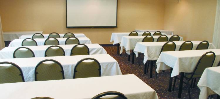 奥斯汀西南拉昆塔温德姆套房酒店(La Quinta Inn & Suites by Wyndham Austin Southwest)图片