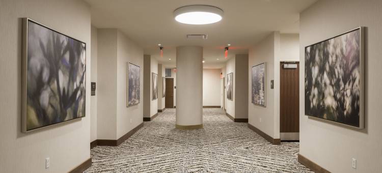 纽约长岛市希尔顿花园酒店(Hilton Garden Inn Long Island City)图片