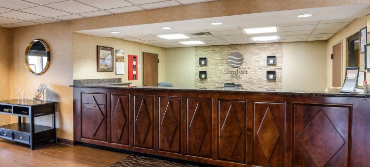 韦恩斯伯勒舒适酒店(Comfort Inn)图片