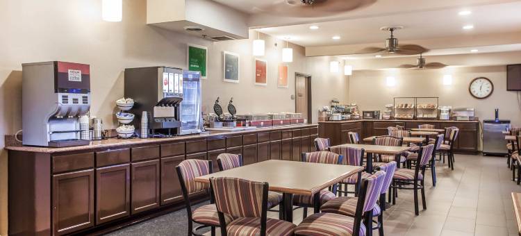 切斯特菲尔德舒适酒店及套房(Comfort Inn & Suites St Louis - Chesterfield)图片