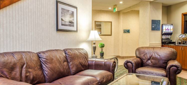 舒适套房酒店-近宾夕法尼亚州立大学(Comfort Suites Near Penn State - State College, PA)图片