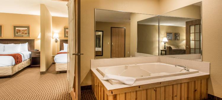 威斯康辛德尔斯区舒适套房酒店(Comfort Suites Wisconsin Dells Area)图片