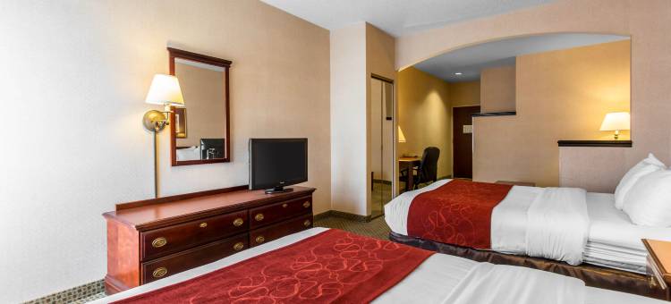 索尔兹伯里I-85舒适套房酒店(Comfort Suites Salisbury I-85)图片