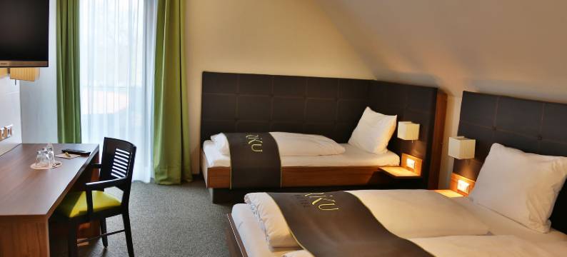 魏森霍恩里库酒店(RiKu Hotel Weißenhorn)图片