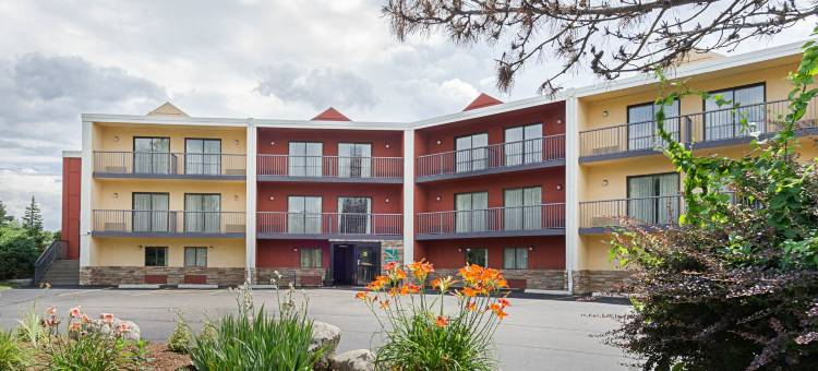 伍斯特品质套房酒店(Quality Inn and Suites Worcester)图片