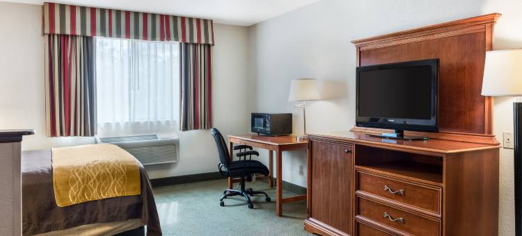 南山I-85舒适套房酒店(Comfort Inn & Suites South Hill I-85)图片