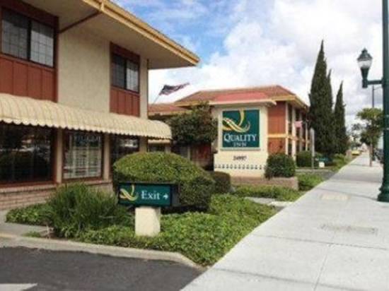 Quality Inn Hayward Hotel Reviews And Room Rates Trip Com