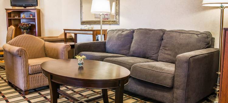 南港舒适套房酒店-I-96附近(Comfort Suites South Haven Near I-96)图片