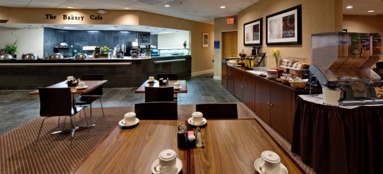 芝加哥奥黑尔温德姆酒店(Wyndham Chicago O'Hare)图片