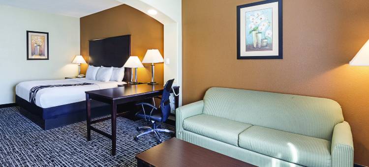 圣安东尼奥多米尼恩希尔顿斯帕克酒店(Spark by Hilton San Antonio Dominion)图片