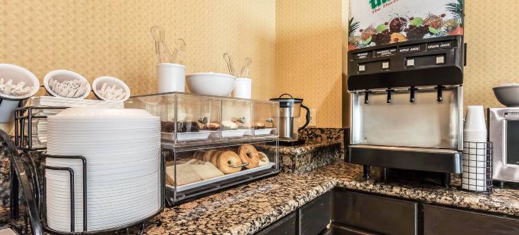 近伯特利学院舒适套房酒店(Comfort Inn & Suites Near Bethel College)图片