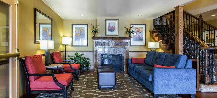 舒适套房酒店(Comfort Inn & Suites)图片