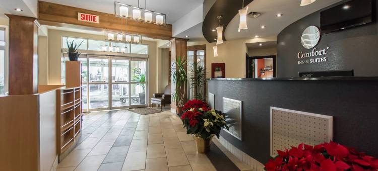 圣杰罗姆舒适酒店(Comfort Inn & Suites)图片