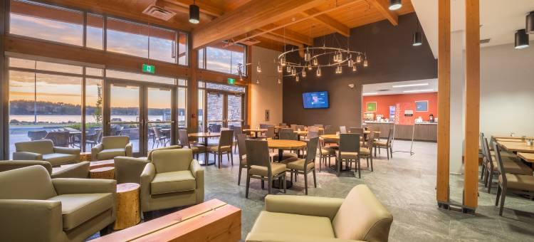 舒适套房酒店(Comfort Inn & Suites)图片