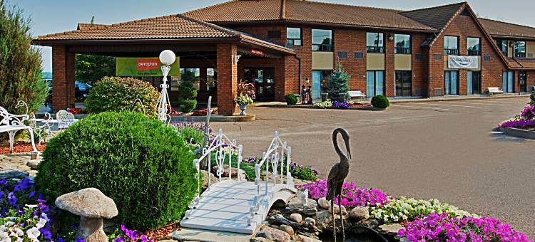 彭布罗克舒适酒店(Comfort Inn)图片