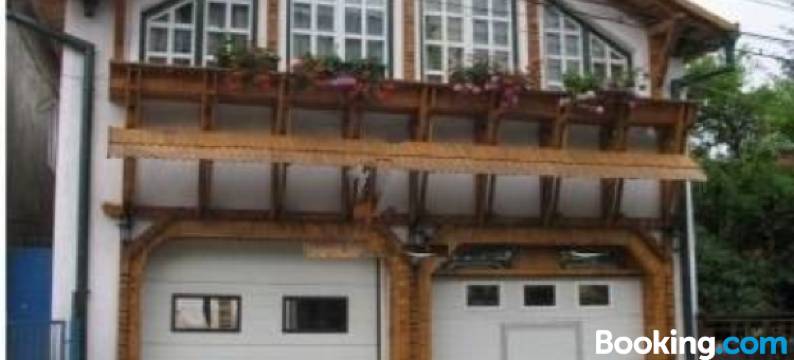 安娜玛丽亚膳食旅馆(Pensiunea Ana Maria)图片