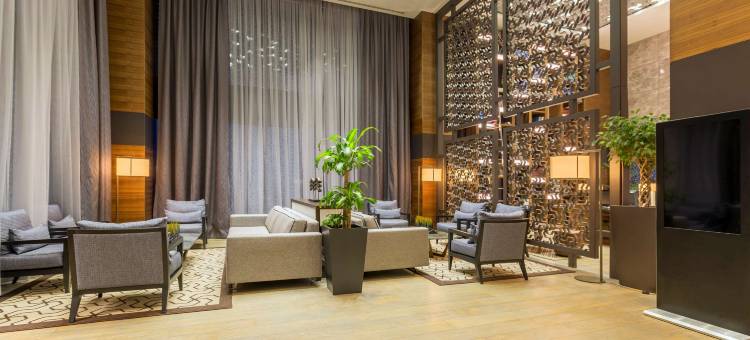 伊斯坦布尔金色郁金香酒店(Golden Tulip Istanbul Bayrampasa)图片