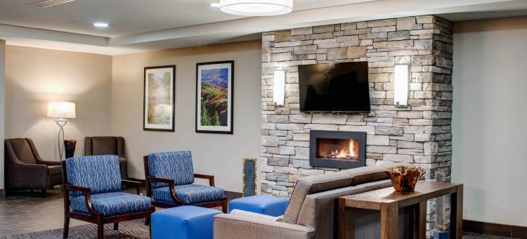 舒适套房酒店(Comfort Inn & Suites)图片