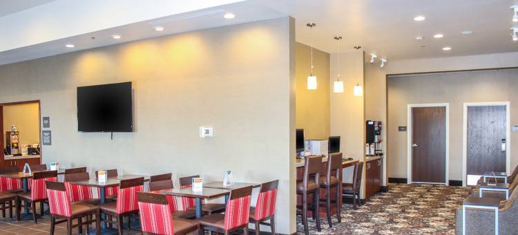 舒适套房酒店-大学(Comfort Suites University Brookings)图片