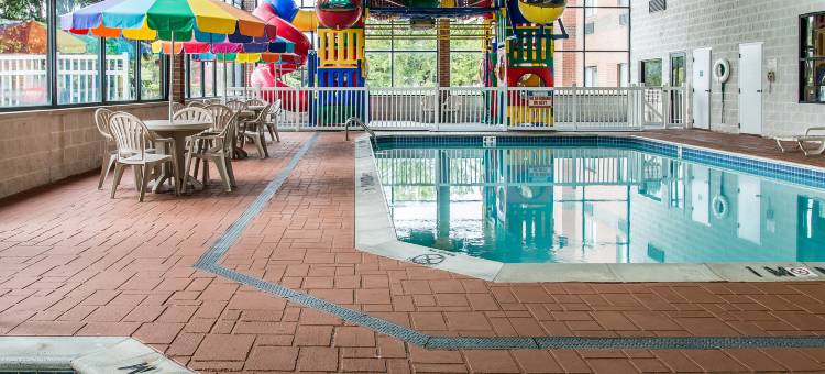 舒适酒店(Comfort Inn)图片