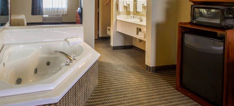 凯艺套房酒店(Quality Inn & Suites)图片