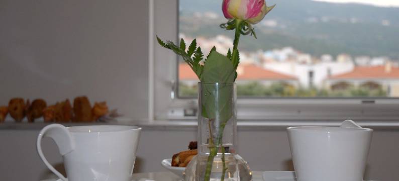 阿利亚酒店(Aria Hotel Samos Town)图片