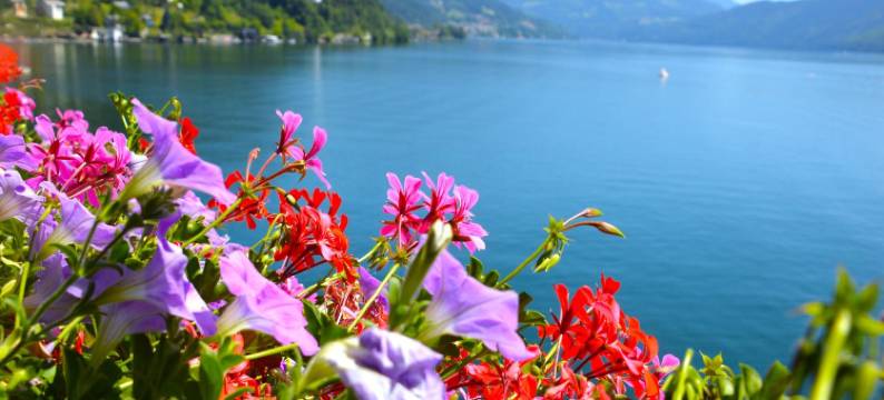 希别墅酒店(Hotel See-Villa)图片