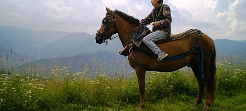 Zornica Guest House图片