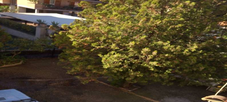 阿曼多拉公寓酒店(Amendola House)图片