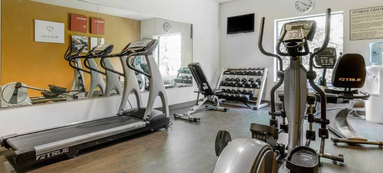 费尔维尤高地舒适套房酒店(Comfort Suites)图片