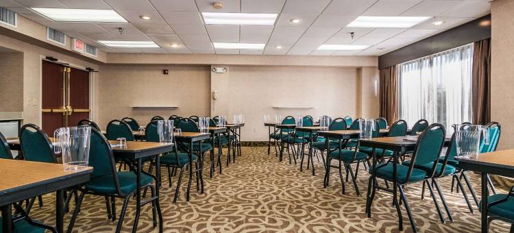 圣彼得堡西假日酒店(Holiday Inn ST. Petersburg West)图片